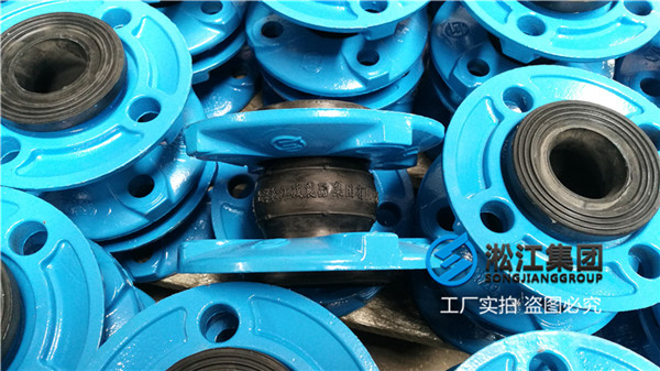 DN65橡膠補(bǔ)償器